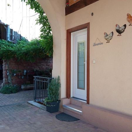Gites Les Cocottes Zellwiller Exterior photo