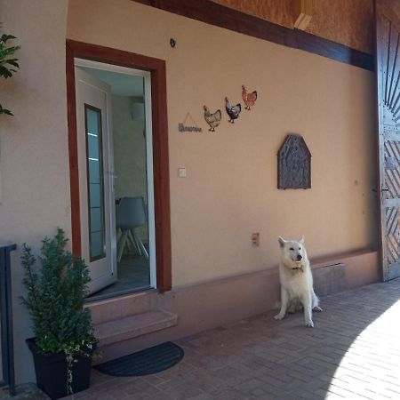 Gites Les Cocottes Zellwiller Exterior photo