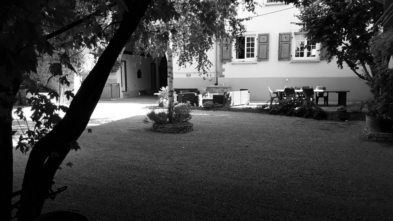 Gites Les Cocottes Zellwiller Exterior photo